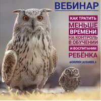 Как тратить меньше времени на контроль в обучении и воспитании ребенка