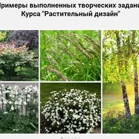 Растительный дизайн. Работа с древесными