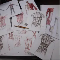 Пластическая анатомия