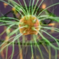 Старый негэнтропный гармонизатор