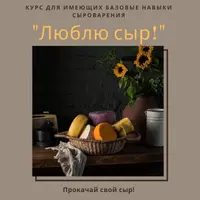 Люблю сыр