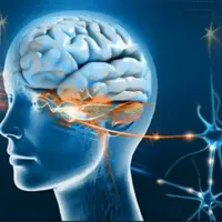 Регенерация глаз