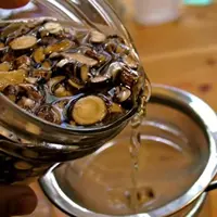 Заготовка корневищных растений в весенний период