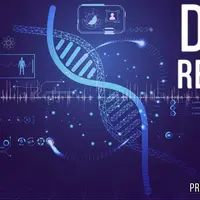 Восстановление ДНК + Удлинение теломер