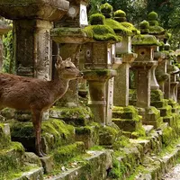 Достояние империи. Японские национальные сокровища. Часть 2