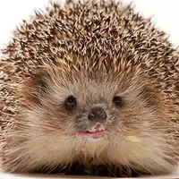 Клинический разбор пациентов. Семинар № 9