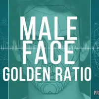 Мужское лицо Золотое сечение