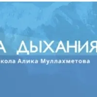 Метод Система: дыхательно-физическая гимнастика