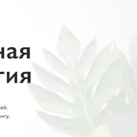 Интегративная нутрициология. Нутрицевтика и полноценное питание. 2 месяц
