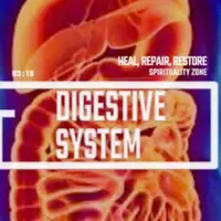 Пищеварительная система: обновление, восстановление и омоложение