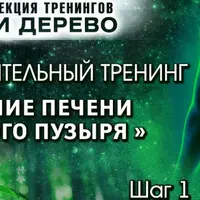 Исцеление печени и желчного пузыря