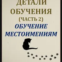 По следам кошки. Часть 2. Обучение местоимениям ребенка с РАС