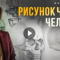 Рисунок черепа человека