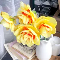 Махровые нарциссы