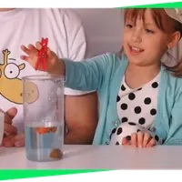 Играем в физику. Свойства жидкостей