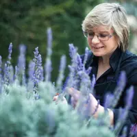 Пикник в большом городе