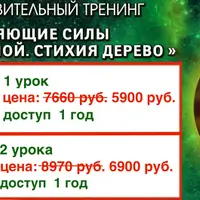 Исцеляющие силы Вселенной. Стихия дерево