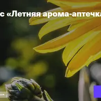 Летняя арома-аптечка