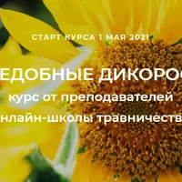 Съедобные дикоросы