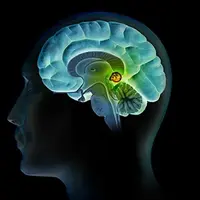 Активация шишковидной железы Powerful Plus + 11x