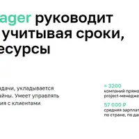 Project Manager Лайт
