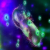 Апокалипсис бактерий и грибов