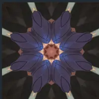 Энергия первичной осанки и хиропрактики - Цифровая мандала