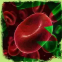 Negative Ion Charged Plasma Blood