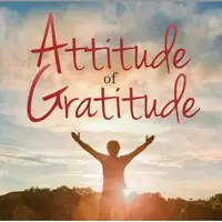 Благодарность Powerful Plus + 11x