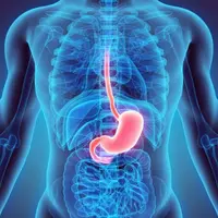 Желудок Powerful Plus + 11x (сверхсильный)