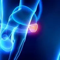 Prostate Powerful Plus + 11x