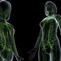 Лечение лимфатической системы