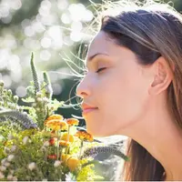 Восстановление обоняния Мощный Плюс 11x