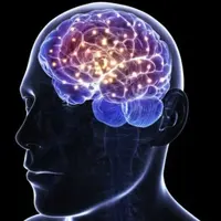 Нейротрофический фактор мозга BDNF Powerful Plus