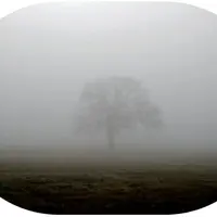 Неопределенность: психологические аспекты встречи с ней