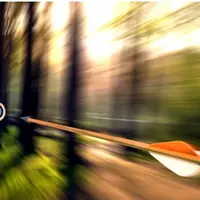 Работа с неопределенностью: от организующего начала к организованным формам сознания