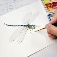 Насекомые. Акварельный онлайн курс