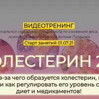 Холестерин 2.0