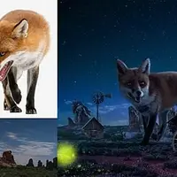 Matte Painting: Creating Photorealistic Worlds