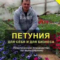 Петуния. Для себя и для бизнеса / Орхидеи: Выращивание и уход