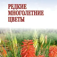 Редкие многолетние цветы