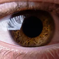 Miodesopsias Powerful Plus 11x