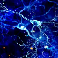 Процесс улучшения мозга