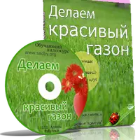 Делаем красивый газон