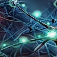 BDNF (нейротрофический фактор головного мозга)