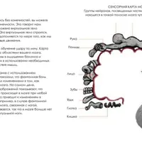 Объясняя боль