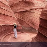 Выразительные средства: Пластика