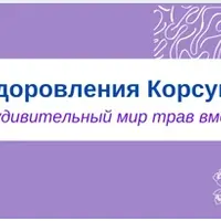 Фитотерапия в онкологии. Часть 1