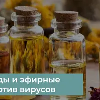 Фитонциды и эфирные масла против вирусов