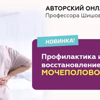 Профилактика и восстановление здоровья мочеполовой системы